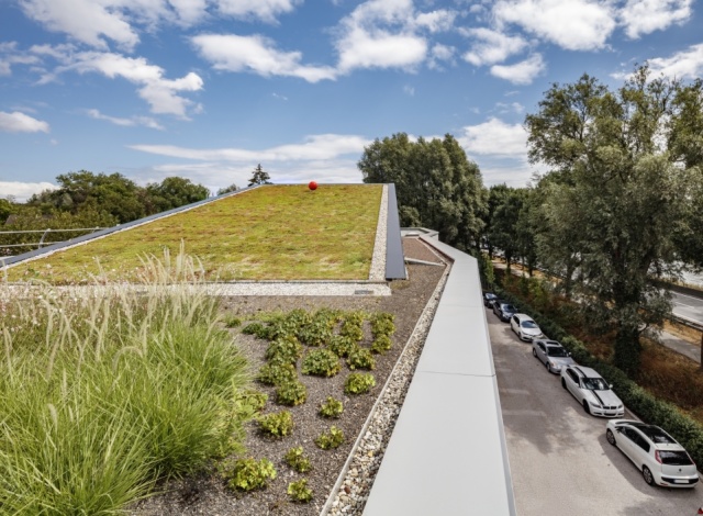 Green roof