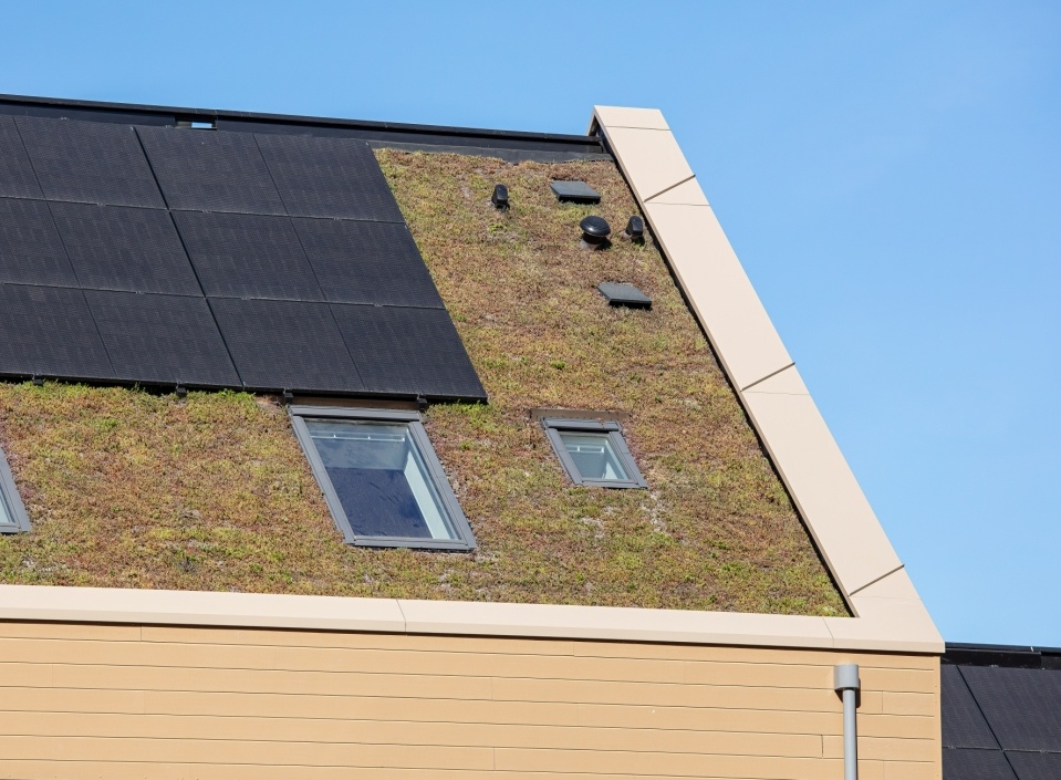Sustainability in building practices