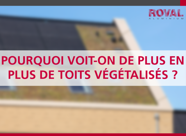 Why are we seeing more and more green roofs?