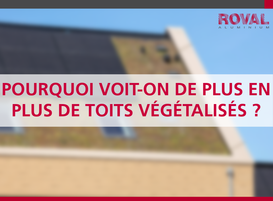 Why are we seeing more and more green roofs?