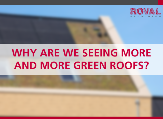 Why are we seeing more and more green roofs?