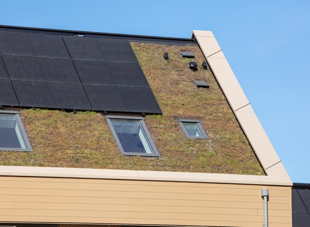 Roof accessories