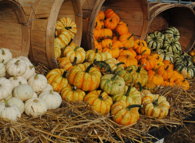 Autumn Agenda 2026